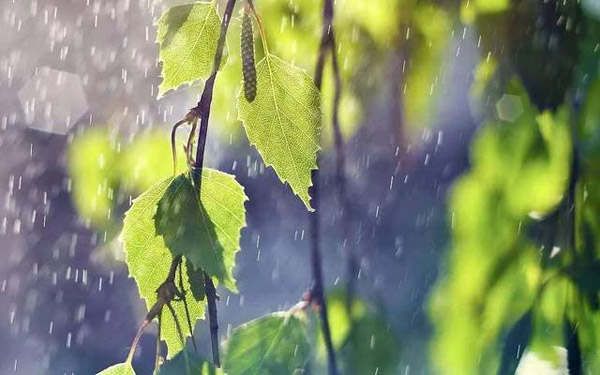 梅雨季节